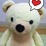 kinoko0407