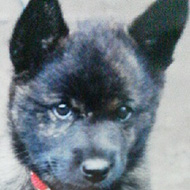 Mari0405WiLL