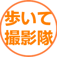 videofan