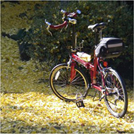 suzuki587