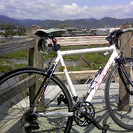 Masashi